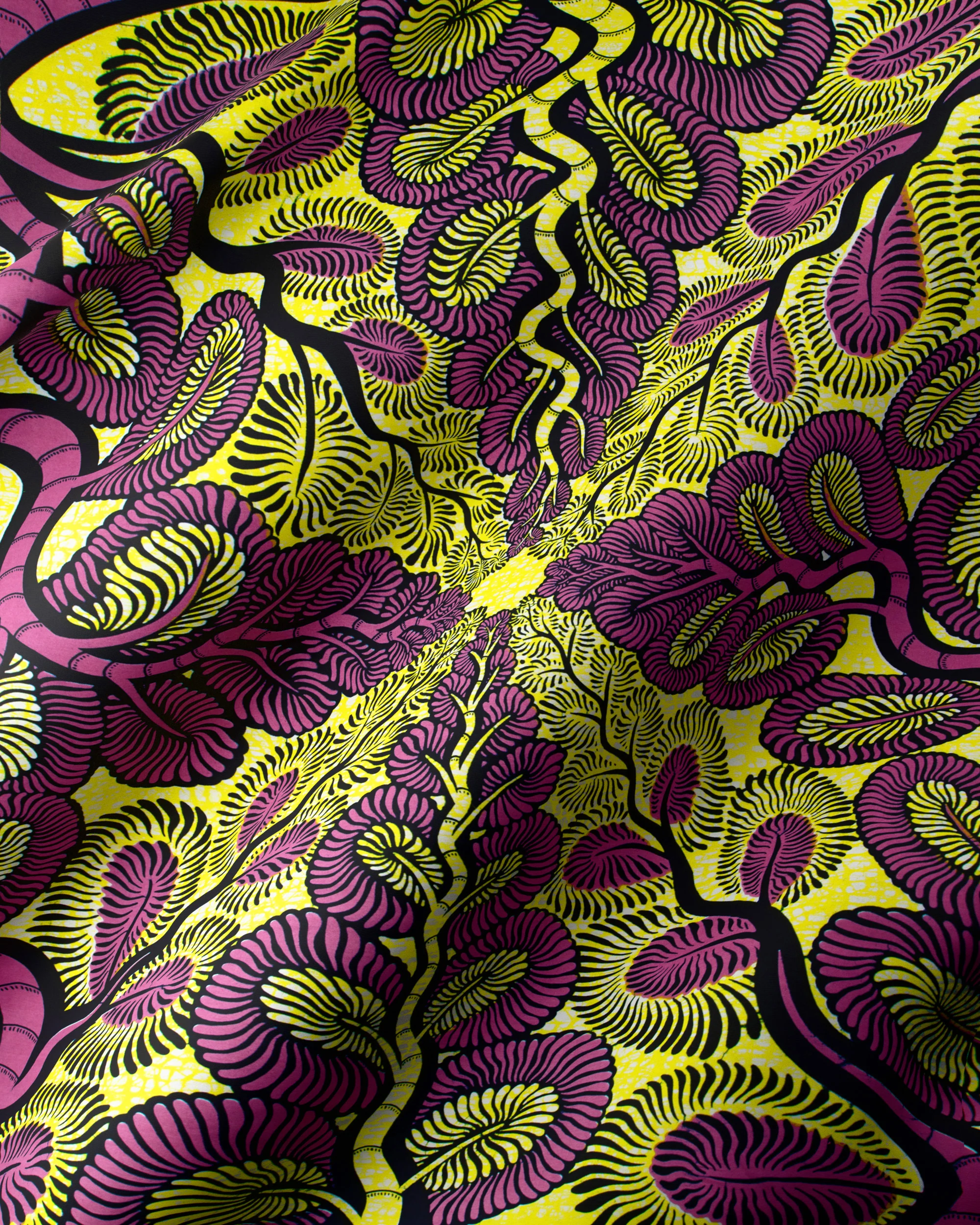 Wax Hollandais | VLW3579.001